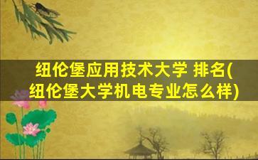 纽伦堡应用技术大学 排名(纽伦堡大学机电专业怎么样)